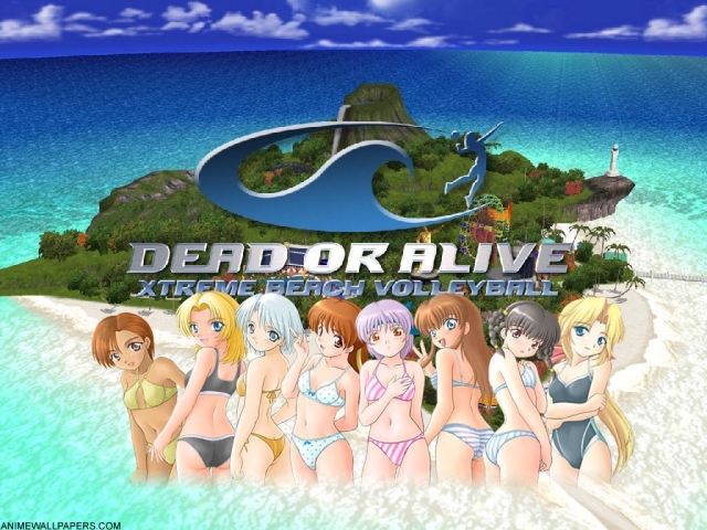 Dead or Alive Volleyball - Picture