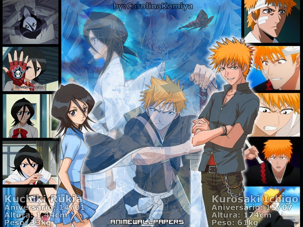 Bleach Anime Wallpaper # 3