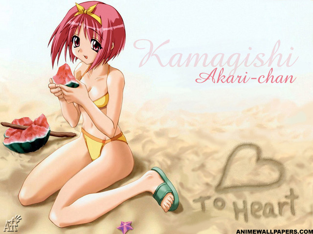 To Heart: Akari Kamigishi - Picture Hot