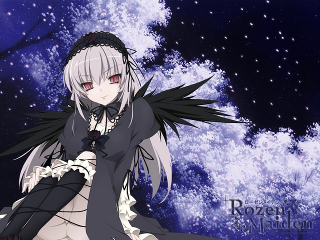 rozenmaiden_19_640.jpg