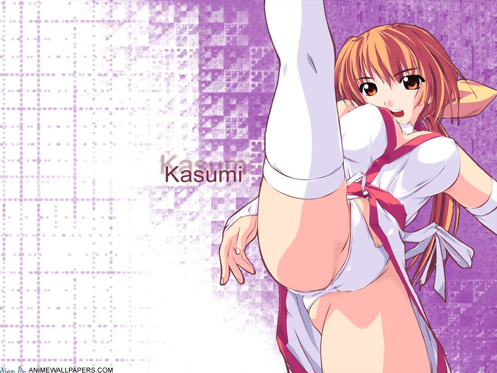 Dead or Alive Ecchi Wallpaper # 1