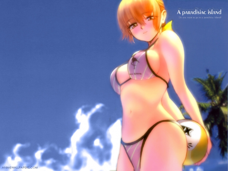Dead or Alive Volleyball Game Wallpaper # 7