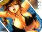 Dead or Alive Volleyball Game Wallpaper # 8