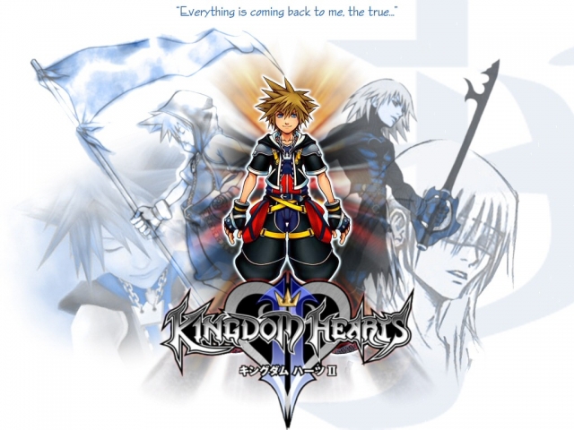 Kingdom Hearts Anime Wallpaper #6