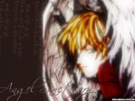 Angel Sanctuary Anime Wallpaper # 27