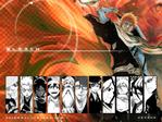 Bleach Anime Wallpaper # 12