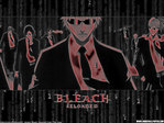 Bleach Anime Wallpaper # 18
