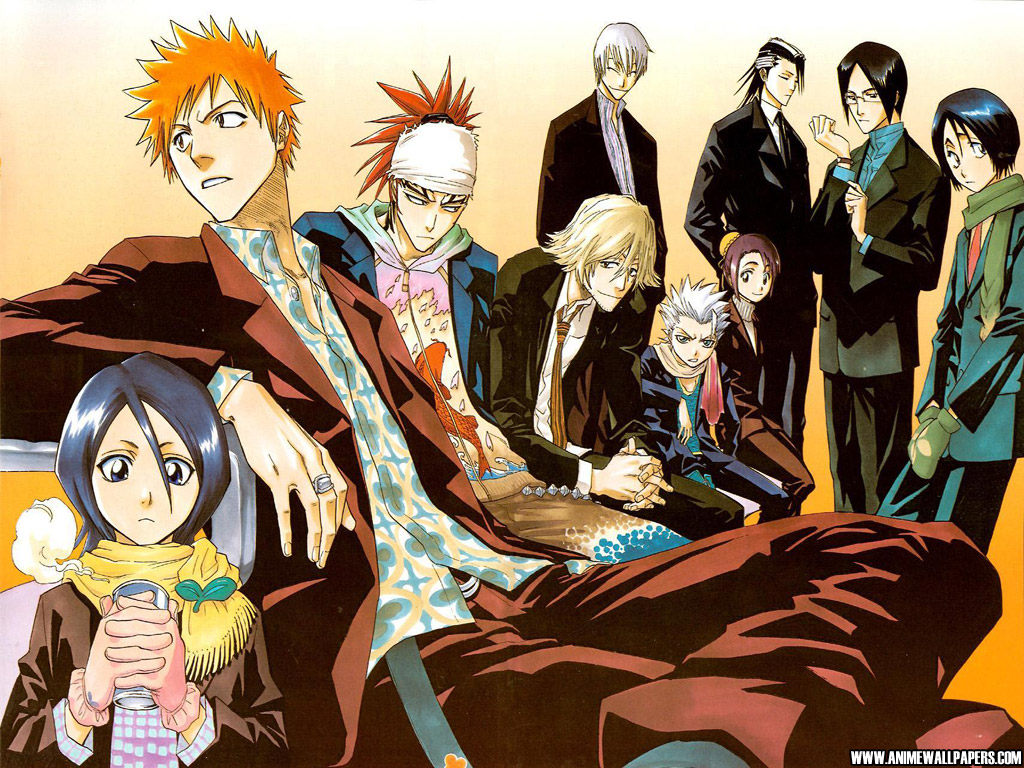 Bleach Anime Wallpaper # 29