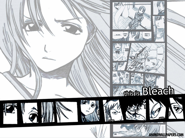 Bleach Anime Wallpaper #30