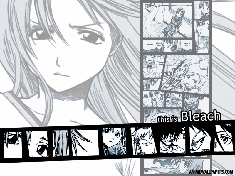 Bleach Anime Wallpaper # 30