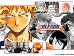 Bleach Anime Wallpaper # 60