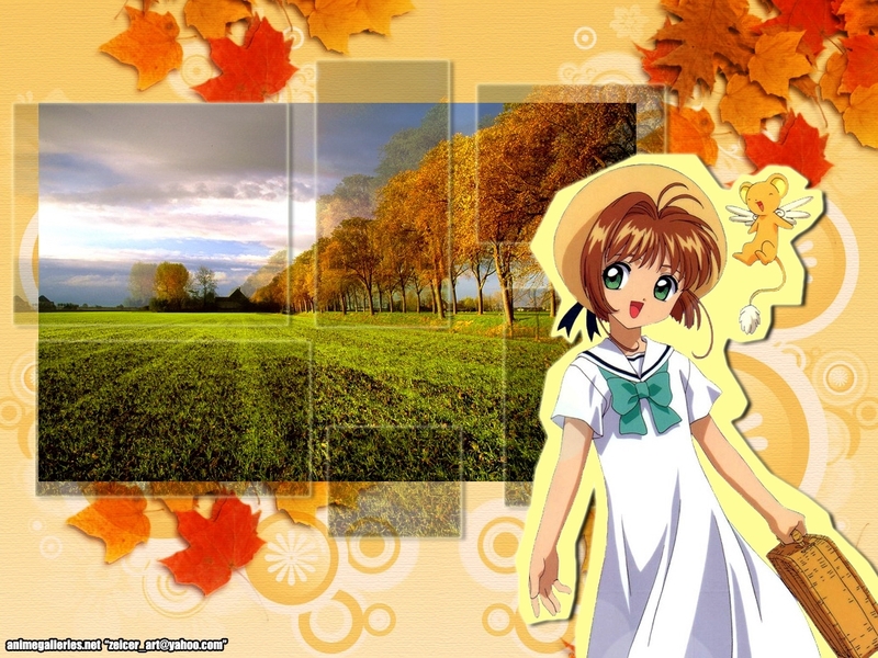 Card Captor Sakura Anime Wallpaper # 103