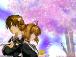 Card Captor Sakura Anime Wallpaper # 84