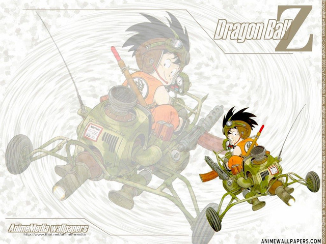 Dragonball Z Anime Wallpaper #16