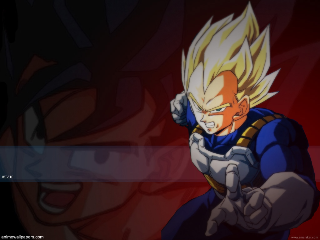 Dragonball Z Anime Wallpaper # 43