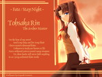 Fate/Stay Night anime wallpaper at animewallpapers.com