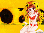 Fruits Basket Anime Wallpaper # 14