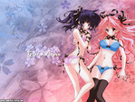 Girls Bravo Anime Wallpaper # 1