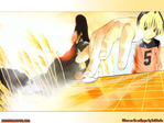 Hikaru no Go Anime Wallpaper # 12