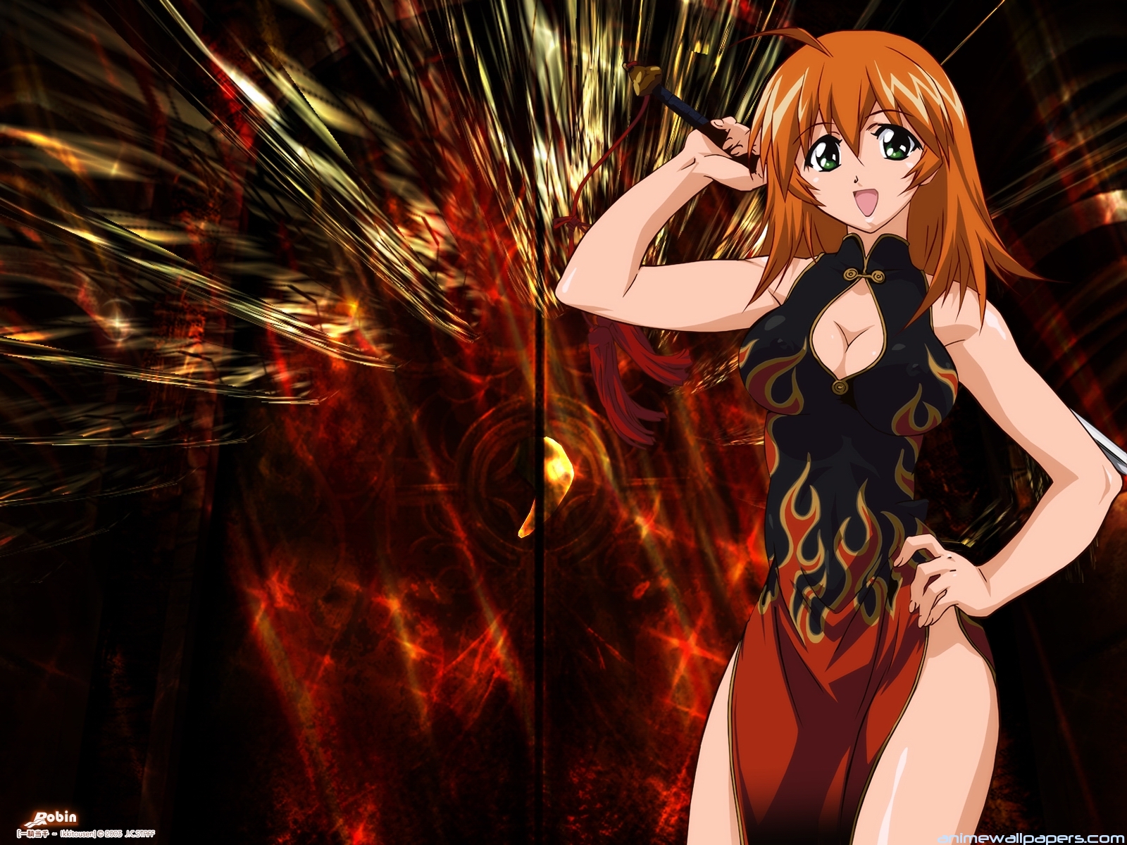 Ikki Tousen Anime Wallpaper # 2