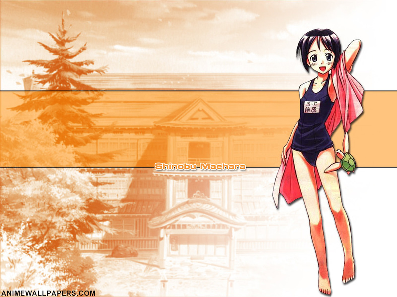 Love Hina Anime Wallpaper # 30