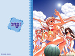 Negima Anime Wallpaper # 10