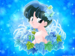 Ranma 1/2 Anime Wallpaper # 14