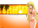 Shuffle! anime wallpaper at animewallpapers.com