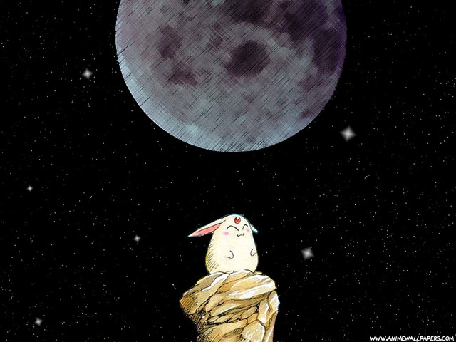 Tsubasa Chronicles Anime Wallpaper #1