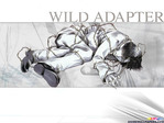 Wild Adapter anime wallpaper at animewallpapers.com