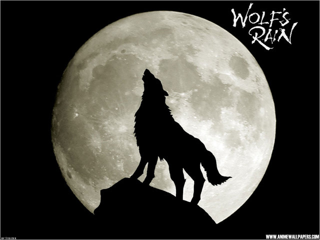 Wolf's Rain Anime Wallpaper #4