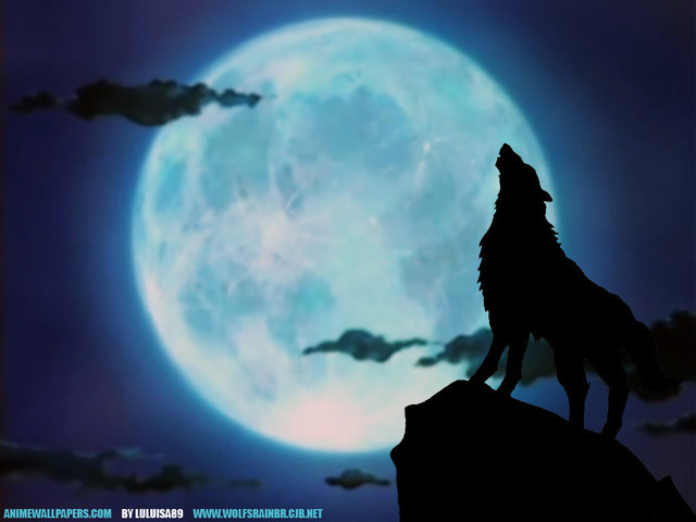 Wolf's Rain Anime Wallpaper #7